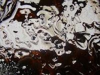 1655327570396 Oilspill