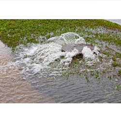 1655327586772 Telog Ps Ru33 1655327586772 Telog Ps Ru33