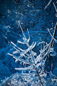 1655327624845 Snow 0