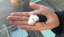 1655327649285 Humuszuur 1655327649285 Humuszuur