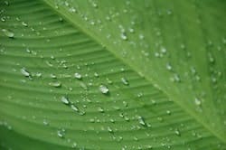 1655327683075 Water27 1655327683075 Water27