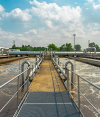 1655327686665 Thomas Betts Cs East Coast