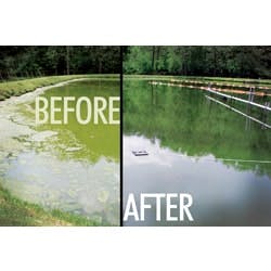 1655327698125 Lg8 0 1655327698125 Lg8 0