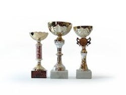 1655327698184 Award 19 1655327698184 Award 19