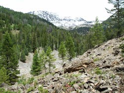 1655327741644 870311 40901035 1655327741644 870311 40901035