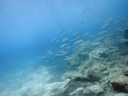 1655327743935 1396196 53286312 1655327743935 1396196 53286312