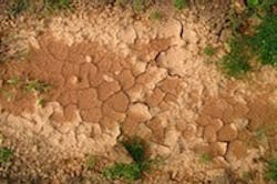 1655327767195 Drought 1 1655327767195 Drought 1