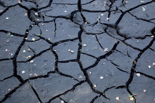 1655327776884 Drought4 0