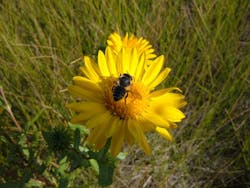 1655327779431 Plants2 1655327779431 Plants2