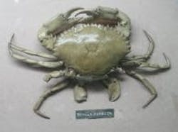 1655327780019 Unnamed2 1 1655327780019 Unnamed2 1