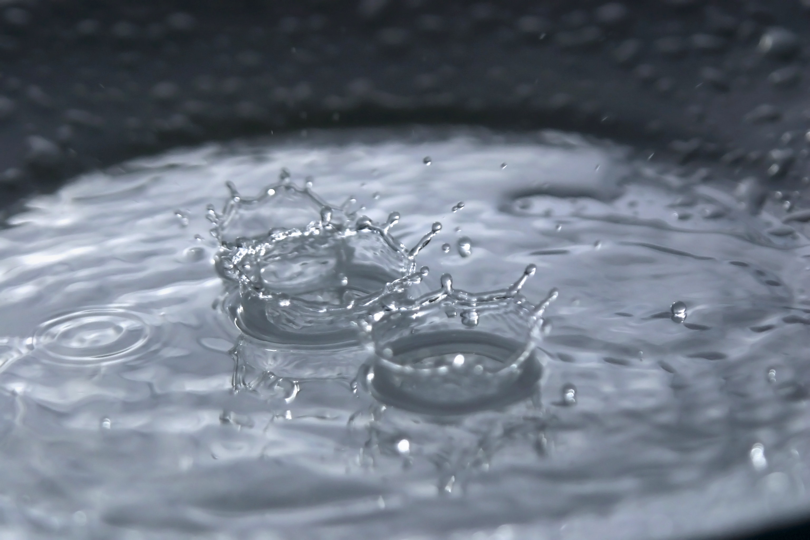 1655327798755 907068 55147424