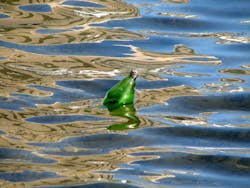 1655327804426 Pollution 0 1655327804426 Pollution 0