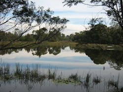 1655327809757 Wetland 1655327809757 Wetland