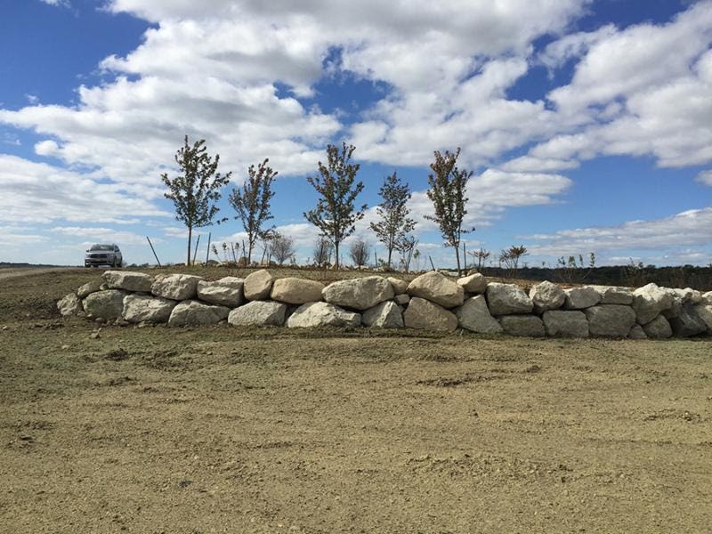 1655327814412 Unnamed 22