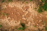 1655327819254 Drought 2