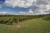 1655327828915 Farm2 0