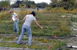 1655327846769 Unnamed 41 1655327846769 Unnamed 41