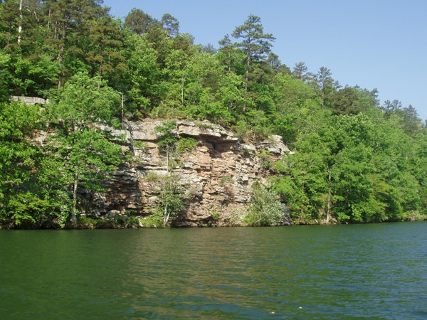 1655327847619 Arkansas