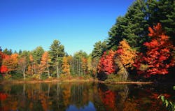 1655327849831 Lake7 0 1655327849831 Lake7 0