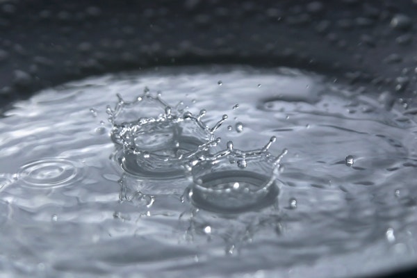 1655327861848 Rain1171021 Wwd 0