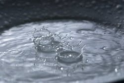 1655327861848 Rain1171021 Wwd 0 1655327861848 Rain1171021 Wwd 0