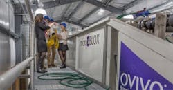 1655327862523 Ovivo Cs Storm King 1 1655327862523 Ovivo Cs Storm King 1