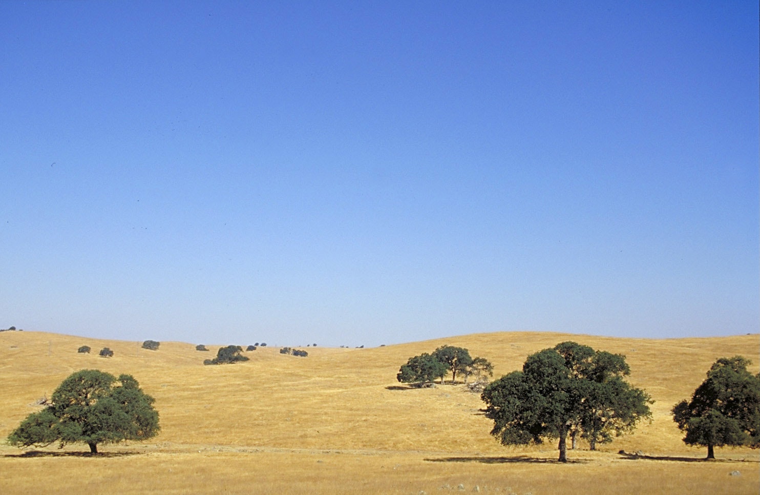 1655327865143 California1530522