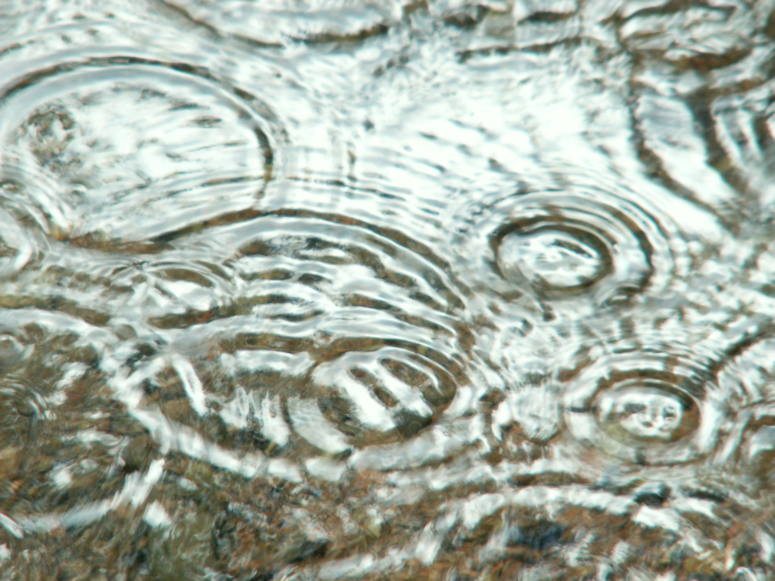 water-circles-1404702