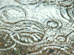 1655327869146 Watercircles1404702 1655327869146 Watercircles1404702