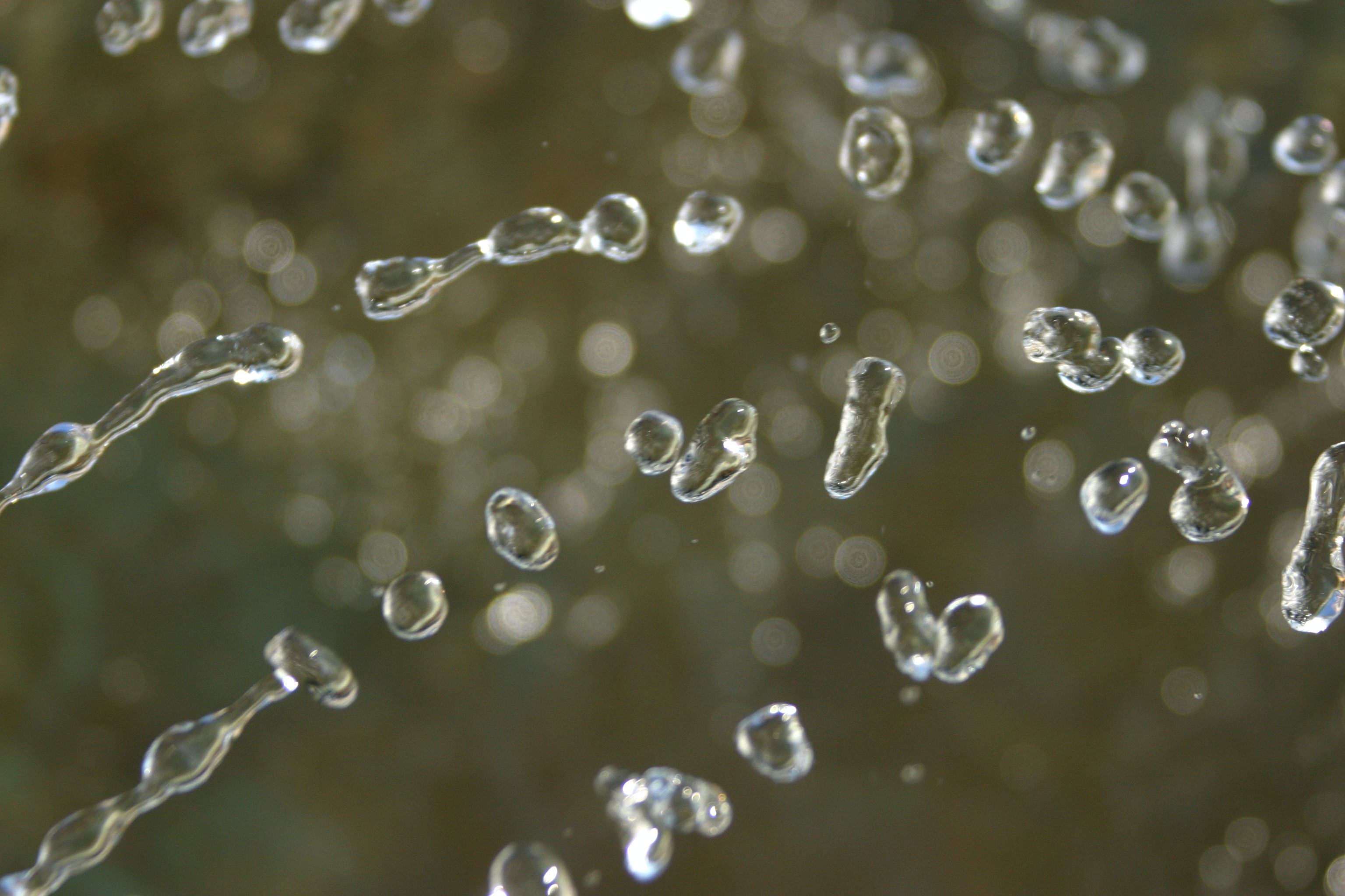 1655327880148 Waterfly1527222