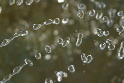 1655327880148 Waterfly1527222 1655327880148 Waterfly1527222