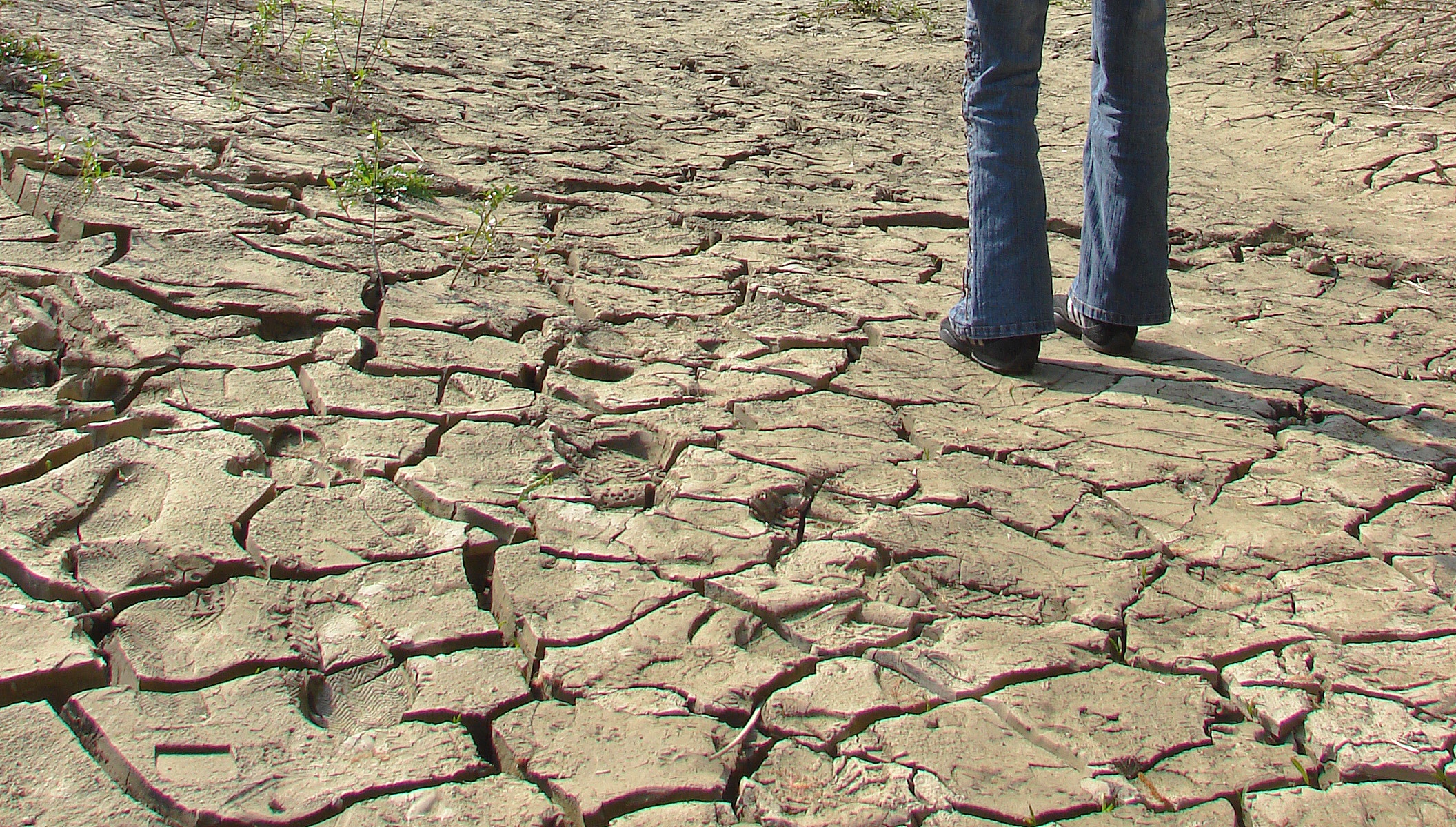 1655327886177 Drought1174975