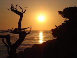sunset-in-pebble-beach-1390397