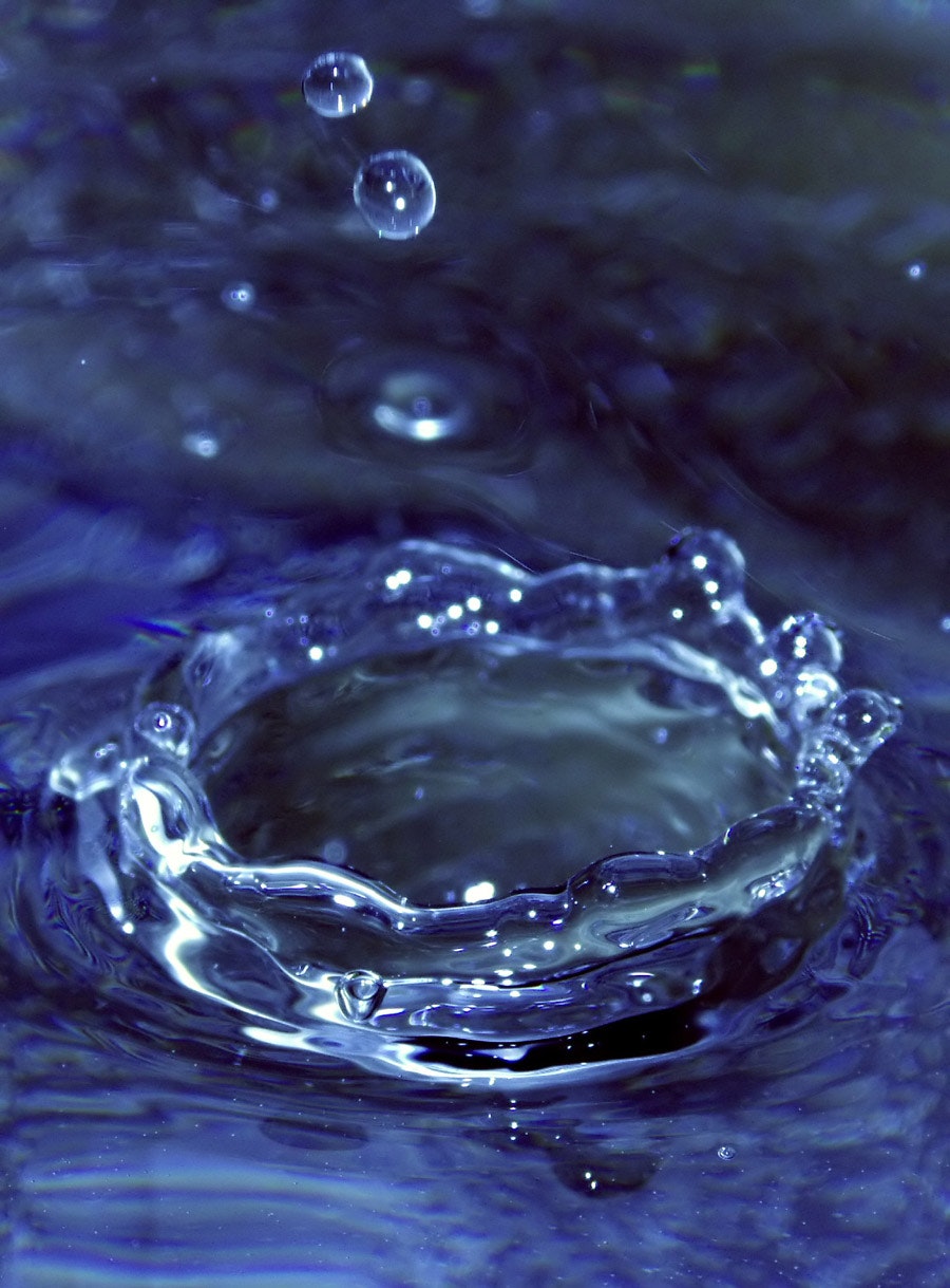 1655327889531 Splash1548736