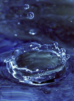 1655327889531 Splash1548736 1655327889531 Splash1548736