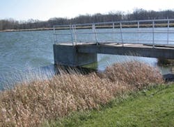 1655327894792 Probiotic Cs In 1 1655327894792 Probiotic Cs In 1