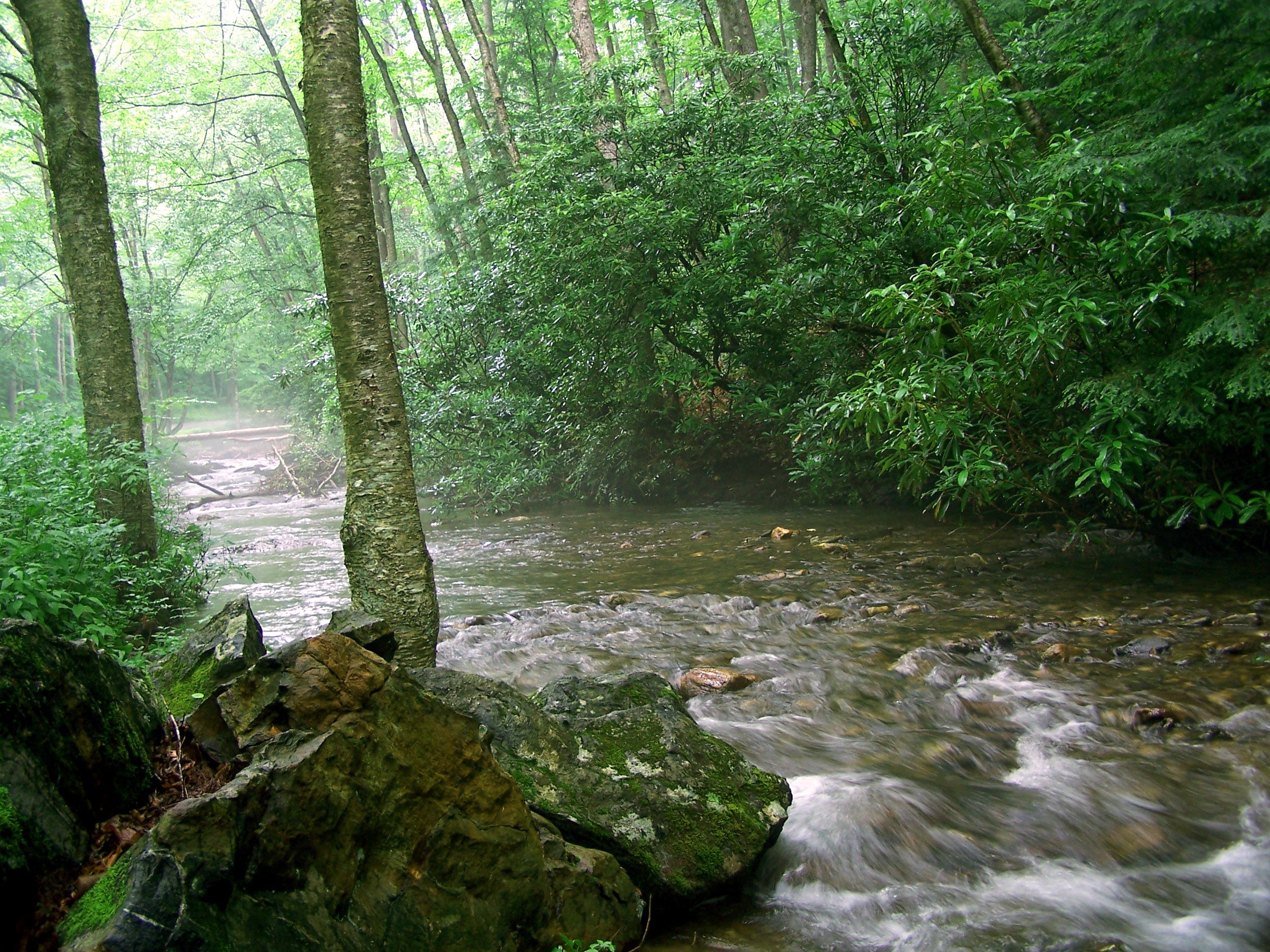 1655327897097 Davidsonriver1401552