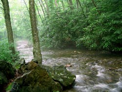 1655327897097 Davidsonriver1401552 1655327897097 Davidsonriver1401552