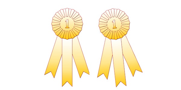 1655327904246 Awards 0