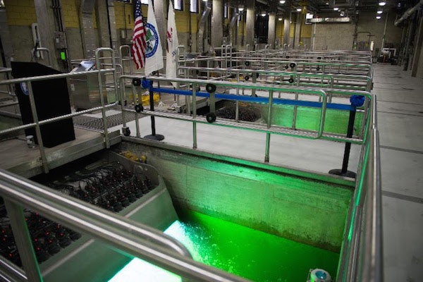 1655327905874 Unnamed2 0