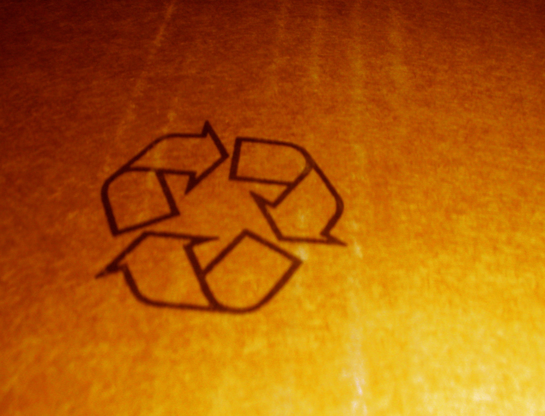 1655327906902 Recycling21469759