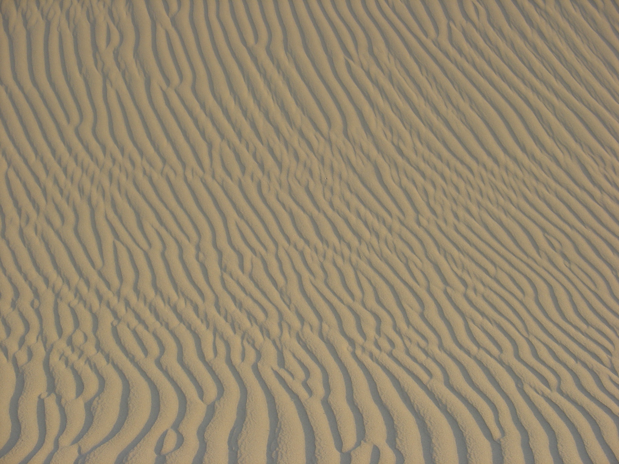 desert-sand-1401983