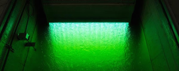 1655327914782 Unnamed2 1