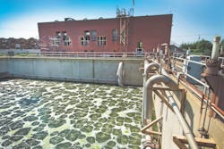 1655327918147 Nbc Ifas 1655327918147 Nbc Ifas