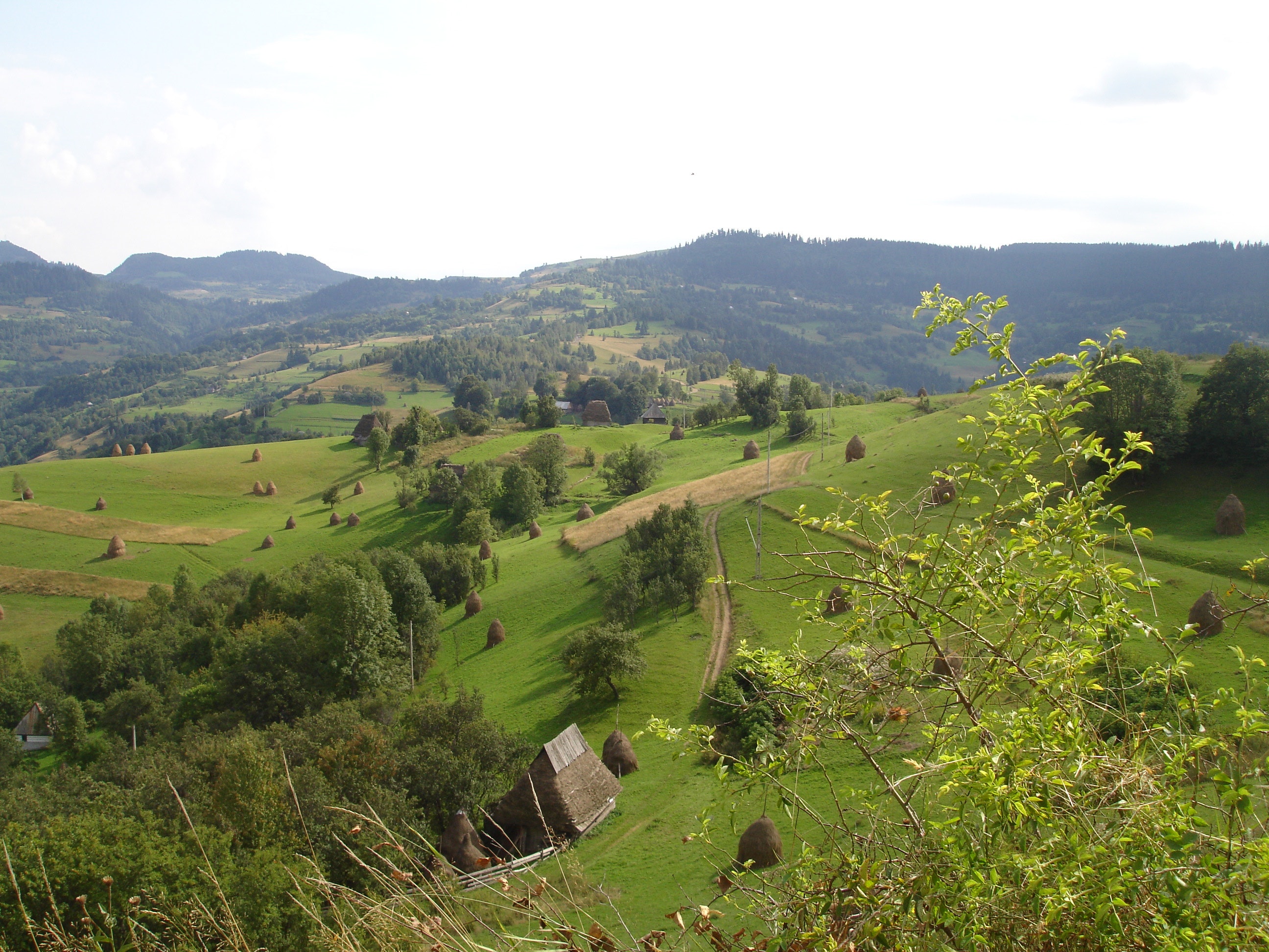 1655327925833 Romaniaapuseni11383731