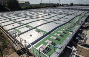 CST CS Newham England