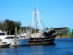 1655327943414 Unknownboatintarponsprings1449592 1655327943414 Unknownboatintarponsprings1449592