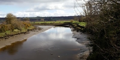 1655327957373 Unnamed 2 8