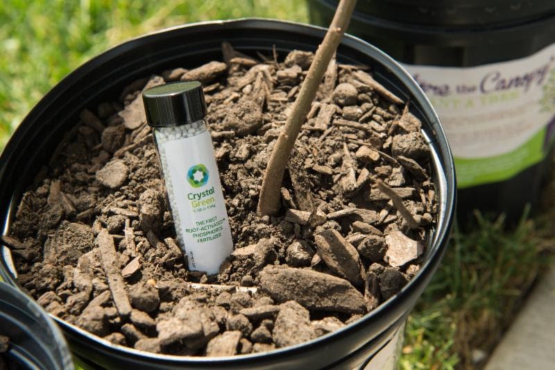 1655327966634 Unnamed 2 9