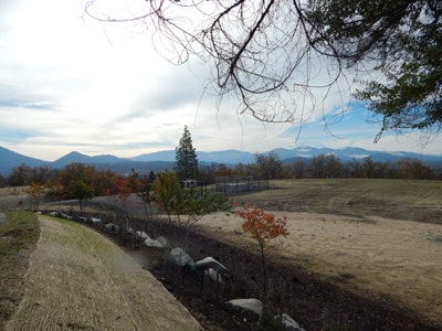 DN CS Grants Pass OR 1